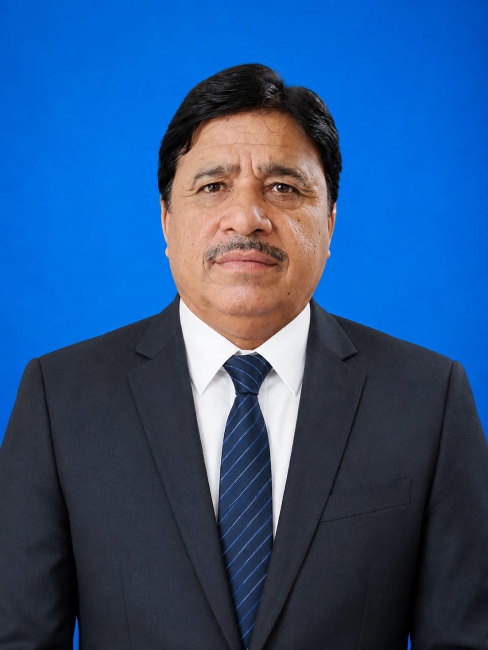 Shahmir Ali Mehrani